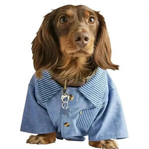 (NWOT) Bond & Co. Maritime Nautical Blue Stripe Dog Shirt – Medium